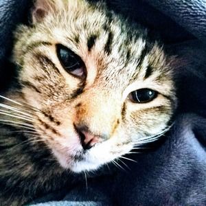 Meet your Posher, Markey